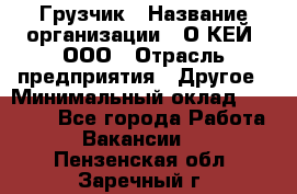 Грузчик › Название организации ­ О’КЕЙ, ООО › Отрасль предприятия ­ Другое › Минимальный оклад ­ 25 533 - Все города Работа » Вакансии   . Пензенская обл.,Заречный г.